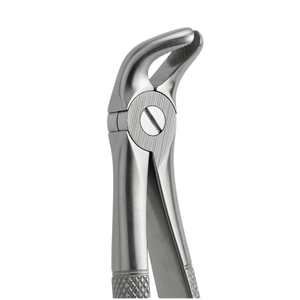 Forceps d'extraction Fig. 11 "English Pattern" |   Acier inoxydable de qualité supérieure - Product Image 3