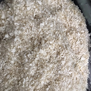 Écailles de poisson séchées de haute qualité pour l'exportation, fournisseur, emballage en vrac - Mme Lily - Product Image 1