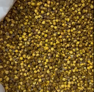 Chana Séché et Torréfié de Haute Qualité avec Peau, Emballage en Vrac, Goût Premium, Choix Sain, Prix Bas - Product Image 4
