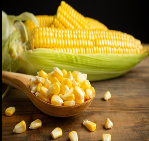 Maíz Amarillo y Rojo Seco Sin GMO de Fábrica, Venta al por Mayor, Granos de Maíz Amarillo a Granel, Maíz Sin GMO Grado Alimenticio - Product Image 3