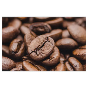 Granos de Café Arábica Naturales para Pedidos al por Mayor y Empresas Globales de Comercio de Café - Product Image 6