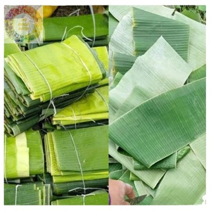 Hojas de envoltura de hoja de plátano de calidad superior de Vietnam Biodegradable sostenible y ofrecido a precios de exportación competitivos - Product Image 5