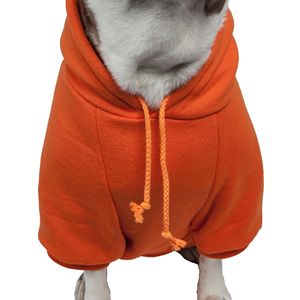 Felpa con Cappuccio per Animali Domestici in Cotone Peluche alla Moda, Comoda e Calda - Product Image 4