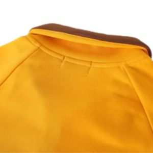 Sweat-shirt à col zippé Iota Phi Theta en relief, doré, haut de gamme, vêtement grec, pull de fraternité, haut élégant - Product Image 5