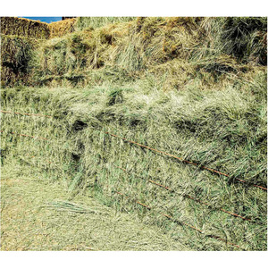 Heno de Alfalfa de Primera Calidad para Caballos y Ganado, Origen Reino Unido, 2 Años de Vida Útil - Product Image 4