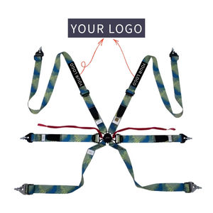 Cinturón de Seguridad Deportivo TBRACING ULTRA-D OEM ODM Personalizado de 2 Pulgadas FIA 8853-2016 de 6 Puntos con Patente Taiwanesa Fluorescente - Product Image 2