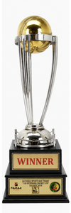 Golden Cricket <b>Trophy</b> <b>Cup</b> Winner Runner Up Metal Award For Sports Achievement Display - Product Image 3
