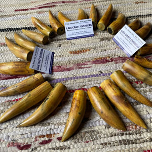 Cuerno de Búfalo Natural Ecológico, Pulido, con Punta Quemada, Rústico, para el Año Nuevo Chino, de Alta Calidad - Product Image 1