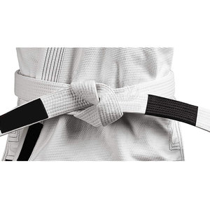 Ceinture d'arts martiaux de qualité supérieure, ceinture d'arts martiaux la plus vendue, prix de gros pour ceinture d'arts martiaux - Product Image 2