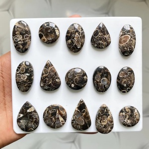Turritella, Gema Cabujón Suelta, Directo de Fábrica India, Venta al por Mayor por Kilo, Lote de Piedras - Product Image 4