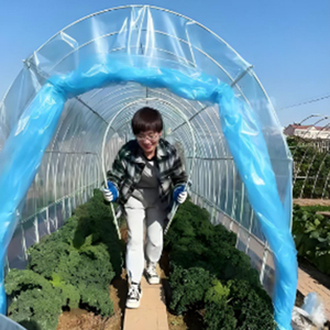 Barres en fibre de verre flexibles extrudées pour les structures de serres et de tunnels de jardin - Product Image 5
