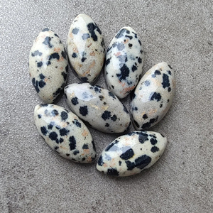 Pierre précieuse calibrée de qualité AAA+ en jaspe dalmatien, cabochon marquise à dos plat, pour la fabrication de bijoux - Product Image 4
