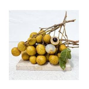 ลำไยสดและแช่แข็งเพื่อการส่งออกจากเวียดนาม - Product Image 2