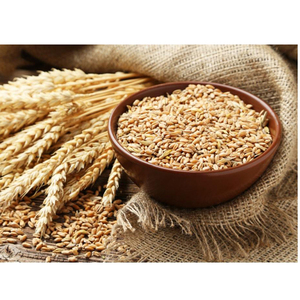 Venta al por Mayor de Trigo Duro de Primera Calidad, Suministro a Granel, Grado Alimenticio, Listo para Enviar, Exportación a Todo el Mundo - Product Image 1