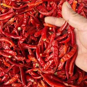 Flocons de piment Habanero surgelés IQF, entièrement séchés, en vrac, 25 kg, vente en gros, OEM ODM - Product Image 1