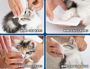 Lingettes pour animaux de compagnie en fibre de bambou RDY, 100 % biodégradables, respectueuses de l'environnement, nettoyage doux, chiens, chats, utilisation quotidienne portable, lingettes humides pour animaux de compagnie - Product Image 5