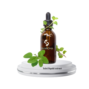 Extracto Líquido de Hoja de Tulsi de Alta Calidad para Compradores B2B Globales para la Producción de Productos de Cuidado Personal y Bienestar con Fórmulas Herbales - Product Image 1