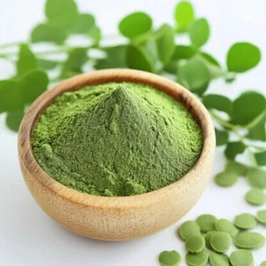 Polvo de Hoja de Moringa 100% Puro y Natural de Alta Calidad OEM, Rico en Vitaminas y Minerales, Extracto Herbal de Hoja de Moringa de la India - Product Image 1