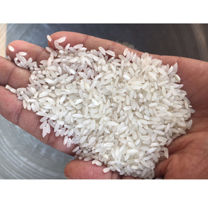 ข้าวเมล็ดสั้นคุณภาพพรีเมียม เกรดอาหาร ขายส่งจำนวนมาก พร้อมจัดส่ง คุณภาพส่งออกชั้นนำ - Product Image 1