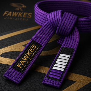 FAWKES SPORTS Ceintures de karaté unisexes, style personnalisé, en sergé/toile respirante, service OEM, faible MOQ - Product Image 6