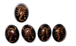 Scorpion doré, spécimen réel, cabochon en plastique ovale 30x40 mm, fond plat noir, moderne, multi-occasions pour l'artisanat et la fabrication de bijoux - Product Image 1