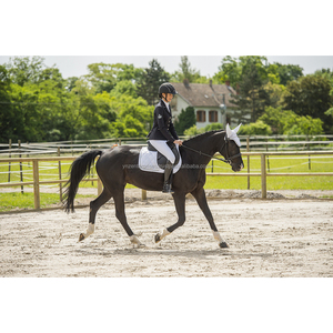 Manta de silla de montar ecuestre personalizada de tela de diseñador Premium, los últimos productos de almohadilla de sillín de caballo Premium - Product Image 5