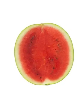 Meilleur <span class=keywords><strong>Prix</strong></span> Vietnam Pastèque Rouge à Pulpe Rouge et Peau Rayée Entièrement Mûre 25kg Fruit Entier Vente en Gros Exportation - Product Image 3