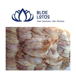 Calamar Séché Purifié de Haute Qualité, Écologique et Propre, Idéal pour Soupes et Apéritifs, Fruits de Mer Premium à l'Exportation - Product Image 1