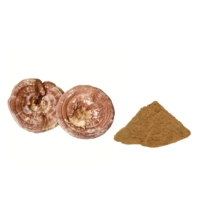 Extrait de champignon Ganoderma Reishi en poudre, 30% de polysaccharides