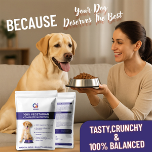 ODM Nourriture végétalienne équilibrée pour chiens avec lentilles pois chiches et patate douce 100% protéines végétales sans sous-produits animaux OEM disponible - Product Image 6