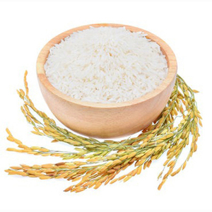 Arroz Blanco de Grano Largo Jasmine 100% Limpio de Alta Calidad, Marcas de Arroz a Precio Razonable, Arroz Blanco de Grano Medio - Product Image 5
