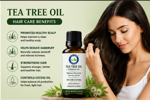 Hot Selling 1 KG 100% Pure Natural <b>Tea</b> Tree Essential Oil - Premium Quality Bulk Supply for Skincare & Aromatherapy Formulations - Product Image 4