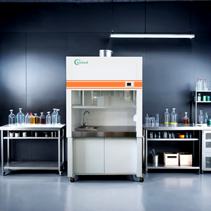 <span class=keywords><strong>Campana</strong></span> <span class=keywords><strong>extractora</strong></span> de humos con conductos Capboard de humos químicos para laboratorio - Product Image 3