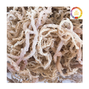 Mousse de mer en gros |   Algues Marines Séchées Biologiques |   Mousse irlandaise dorée |   Fournisseur en gros Vietnam - Product Image 3