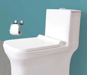 Inodoro de una pieza con el mejor diseño, tamaño 725x365x665mm, sifón en S de 225mm y tapa de asiento con cierre suave - Product Image 1