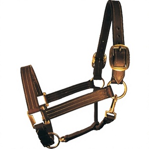 Harnais en cuir rembourré vert avec corde, réglable en nylon PP et ferrures métalliques pour usage équestre - Product Image 5