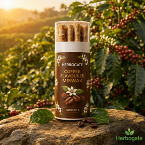 Paquete de 6 Palitos de Madera Herbales con Sabor a Café para Limpieza Dental, Diseñados para el Bienestar Bucal Natural y la Eliminación de Placa - Product Image 3