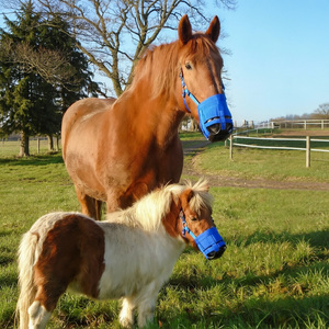 Bozal de nailon personalizado para caballos y ponis: reduce la ingesta de hierba y previene el desgaste. - Product Image 4