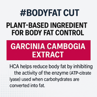 Produk Kecantikan Probiotik Garcinia Suplemen Bubuk HCA 14 Sajian Alami 17 Strain OEM Korea Fungsional Dewasa