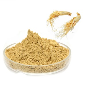 Poudre d'extrait de ginseng Panax 100% pure 10:1, poudre de racine de ginseng authentique de qualité supérieure pour un soutien naturel de l'énergie et de l'endurance - Product Image 1