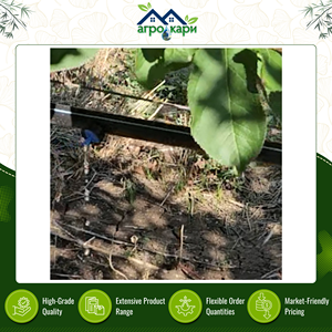 Proveedor Líder de Goteros en Línea Autocompensantes de 32 LPH para Riego de Vegetales con Flujo de Riego Consistente y de Buena Calidad - Product Image 2