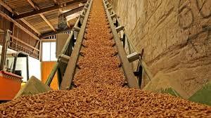 Granulés de bois SEPON en forme de bâtonnets 8mm x 10-40mm, faible teneur en cendres 3%, humidité 10%, 4000J par calorie, pour système de chauffage, densité 600kg/m³ - Product Image 6