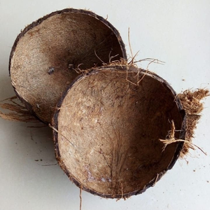 เปลือกมะพร้าวบดคุณภาพสูงเกรด A วัตถุดิบจากอินเดีย |   เหมาะสำหรับถ่านกัมมันต์ผง (PAC) อายุการเก็บรักษา 3 ปี - Product Image 5