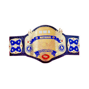 Trophée de ceinture personnalisé NOVERA INDUSTRIES pour la lutte, le Jiu-Jitsu, le karaté, le MMA, plaque dorée, design personnalisé, sangle réglable - Product Image 1