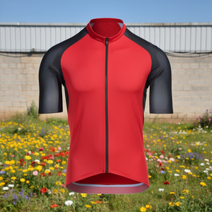Jersey de Ciclismo para Hombre de Alta Calidad OEM, Manga Larga, Transpirable, de Secado Rápido, 100% Poliéster, Conjunto de Ropa para Ciclismo de Carretera, Venta al Por Mayor - Product Image 2