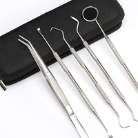 Kit d'instruments dentaires en acier, consommables dentaires réutilisables, miroir et sonde manuels pour usage clinique, prix abordable, taille personnalisée