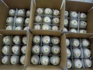 Noix de coco fraîche vietnamienne produite à partir de coquilles de noix de coco naturelles, adaptée aux besoins des entreprises de boissons - Product Image 5