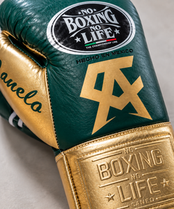 No Boxing No Life Leather Boxing Gloves Green Gold Lace-Up Customized Color Lightweight Breathable Made Pakistan Adult Training - Product Image 3
