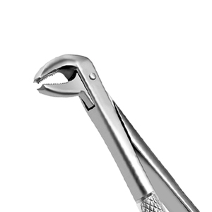 Forceps dentaires manuels en acier inoxydable allemand de haute qualité pour l'extraction des dents – Instruments chirurgicaux pour dentistes - Product Image 6