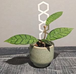 Enrejado de serpiente de metal para interiores y exteriores Balcón Plantas Decoraciones de jardín y soporte de plantas Personalización - Product Image 3